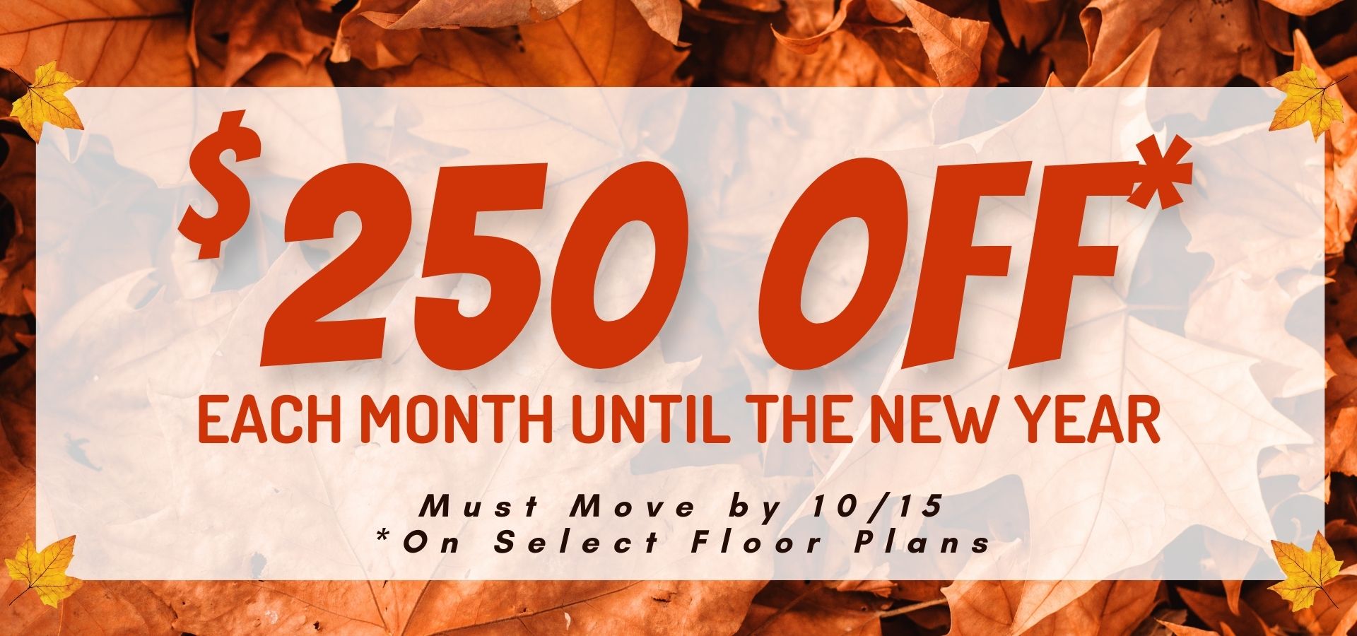 $250 off each month until the new year. Must move by 10/15.